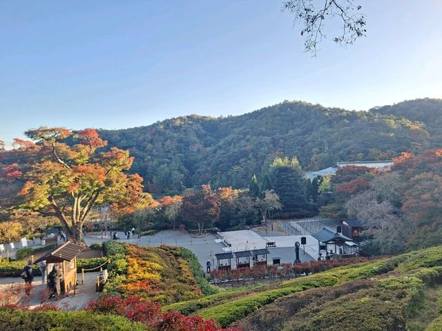✨️勝尾寺達摩寺⛩️大阪必去打卡好去處介紹📸💕 ✨️勝尾寺達摩寺⛩️大阪必去打卡好去處介紹📸💕