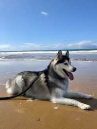 Best Friend Holiday Retreat：在 Tarra Valley 遇见最简单的快乐