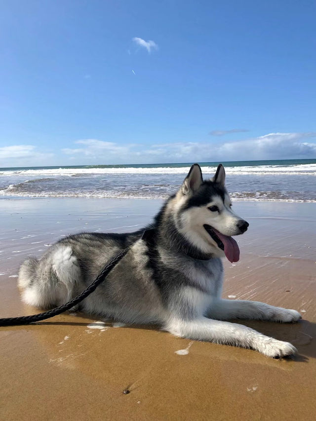 Best Friend Holiday Retreat：在 Tarra Valley 遇见最简单的快乐