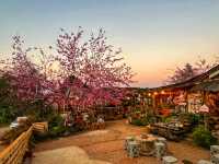 บ้านพักโปโป&ปิงปิง โฮมสเตย์ ขุนวาง