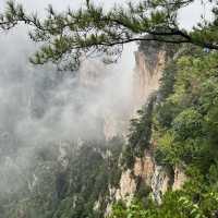 Zhangjiajie National Forest Park — East Gate One-Day Route That Actually Works