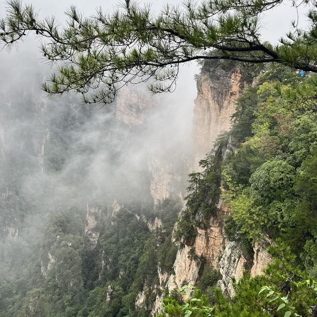 Zhangjiajie National Forest Park — East Gate One-Day Route That Actually Works Zhangjiajie National Forest Park — East Gate One-Day Route That Actually Works
