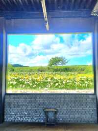 ์ฌ๊ธฐ ๊ฐ๋ฉด ์ฌ์ง ์ง์ฌ 300์ฅ ์ฐ๊ณ ๋์ต๋๋ค. ๊ฐ์คํ์ธ์ ๐ธ