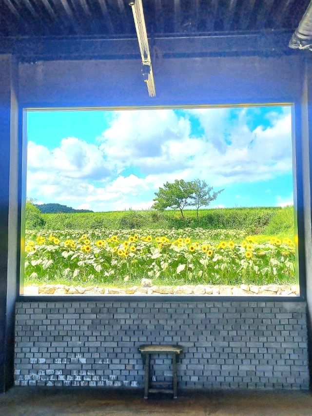 ์ฌ๊ธฐ ๊ฐ๋ฉด ์ฌ์ง ์ง์ฌ 300์ฅ ์ฐ๊ณ ๋์ต๋๋ค. ๊ฐ์คํ์ธ์ ๐ธ ์ฌ๊ธฐ ๊ฐ๋ฉด ์ฌ์ง ์ง์ฌ 300์ฅ ์ฐ๊ณ ๋์ต๋๋ค. ๊ฐ์คํ์ธ์ ๐ธ