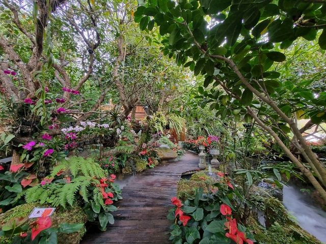 Lalitta Café—Chiang Rai’s Insta-Worthy Flower Wonderland 🌸✨ Lalitta Café—Chiang Rai’s Insta-Worthy Flower Wonderland 🌸✨