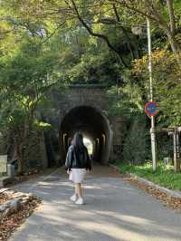 전주 따릉이 여행 코스 🚲