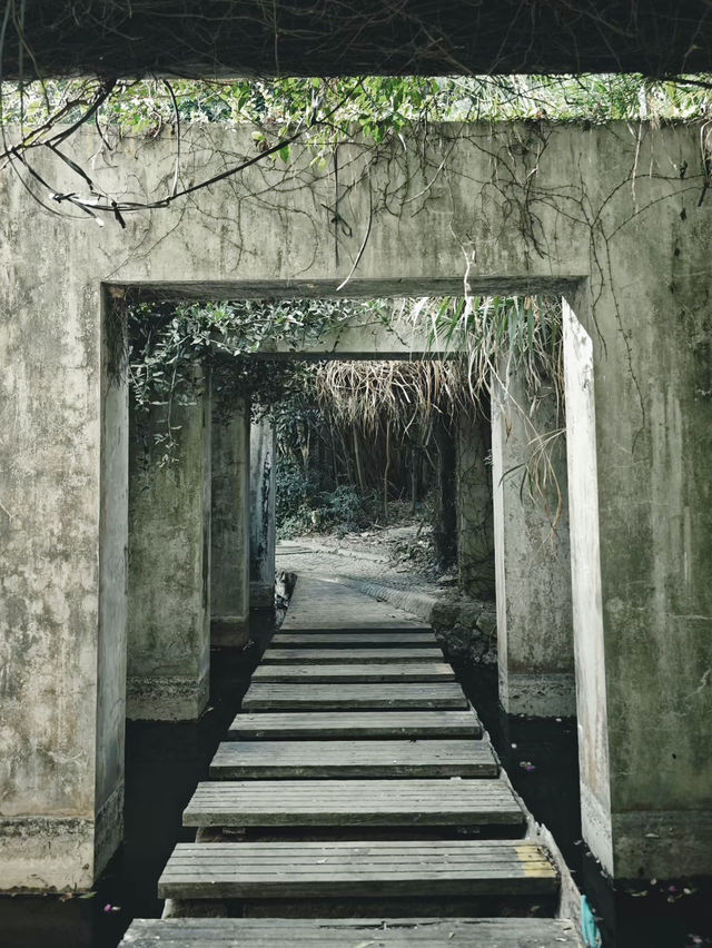 隱藏在市區裏的綠野仙蹤💕深圳(燕晗山郊野公園)治癒祕境 隱藏在市區裏的綠野仙蹤💕深圳(燕晗山郊野公園)治癒祕境
