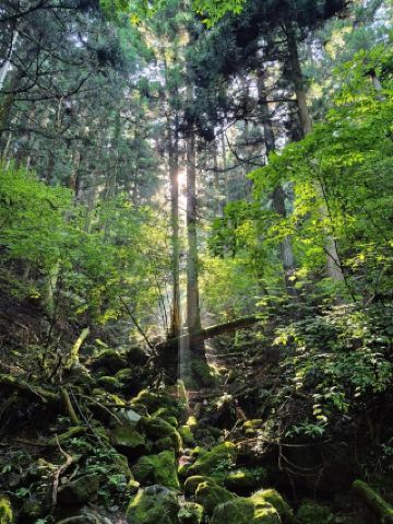 Climb Mt. Mitake – Escape the big city to the mountains.