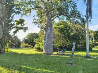喬治·布朗·達爾文植物園