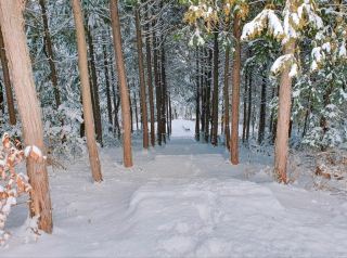 Recommended Walking Spot in Namak! Juksan Park