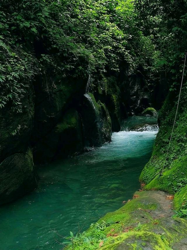 Kolam Abadi – Samosir's Hidden Jungle Paradise