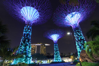 新加坡4日3夜｜花園城市🇸🇬現代與南洋風情✨攻略