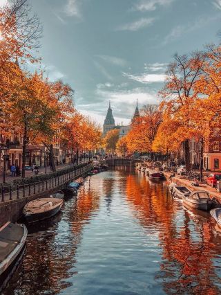 London in Fall Colors: My Cozy Local Guide