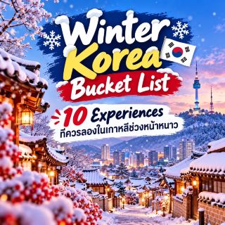 冬の韓国を満喫！絶対に体験したい10のバケットリスト