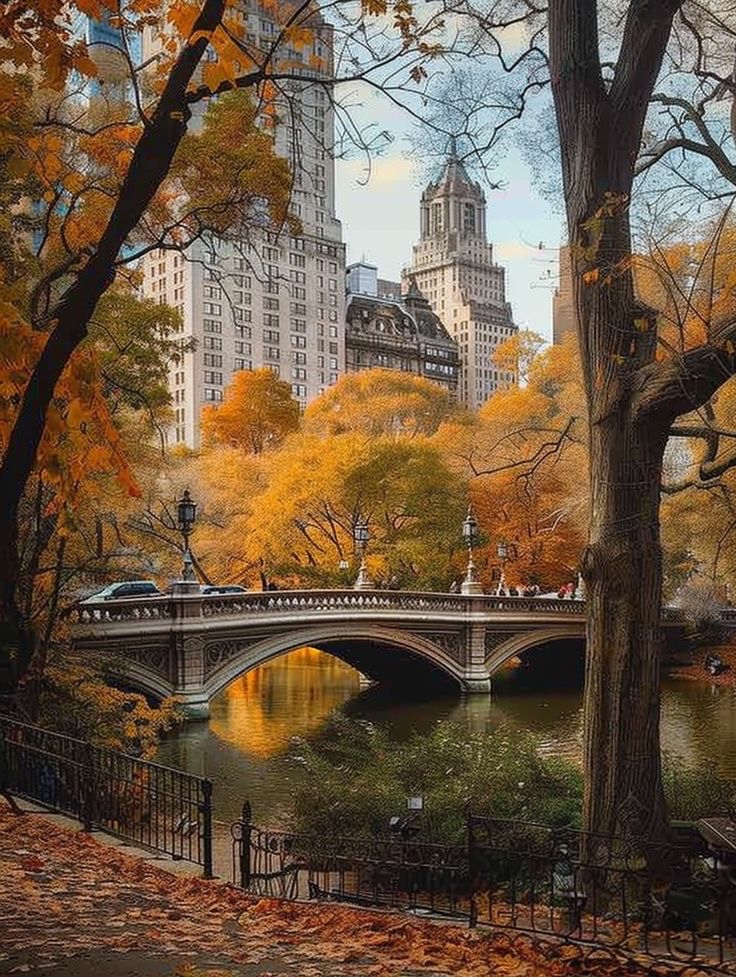 Chasing Golden Canopies and Urban Magic in Autumn New York