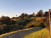2025舊金山柏克萊大學最佳欣賞夕陽景點：Grizzly Peak Vista Point