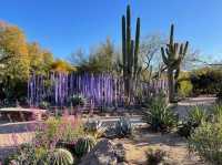 How to spend 5 days in Phoenix