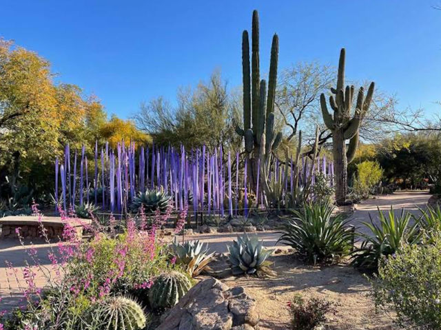 How to spend 5 days in Phoenix