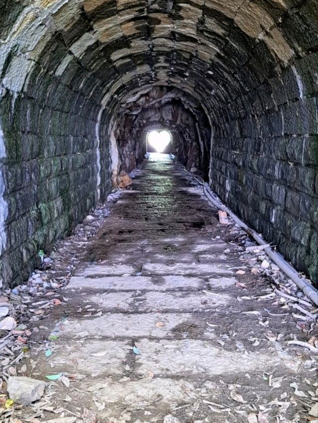 造訪瑞芳的遺址：六坑斜坡索道及無極索道北隧道