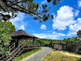 Cape Maeda
