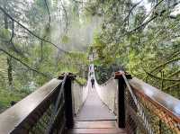 트와일라잇촬영지로 알려진 Vancouver에 위치한 Lynn Canyon park