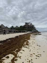 Tulum sargassum 
