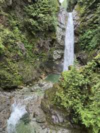 🇨🇦Vancouver근교에 시원하고 맑은 폭포Cascade falls regional park  