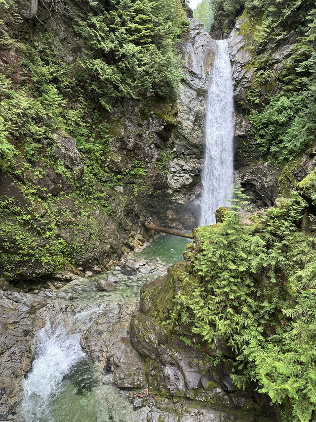 🇨🇦Vancouver근교에 시원하고 맑은 폭포Cascade falls regional park  