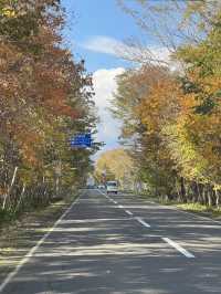 삿포로 5일 여행 포토 스팟