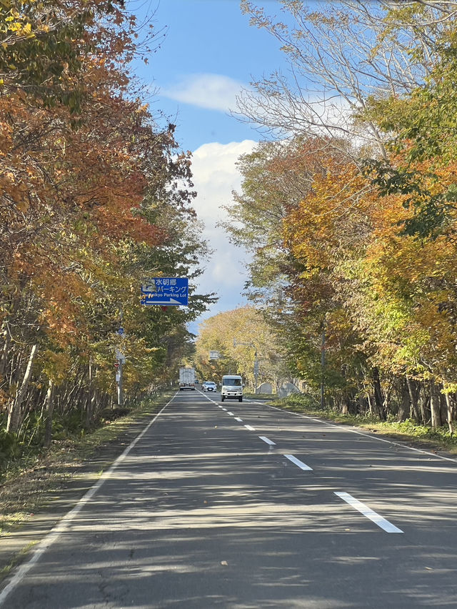 삿포로 5일 여행 포토 스팟 삿포로 5일 여행 포토 스팟