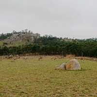Breathtaking Nature in Malolotja