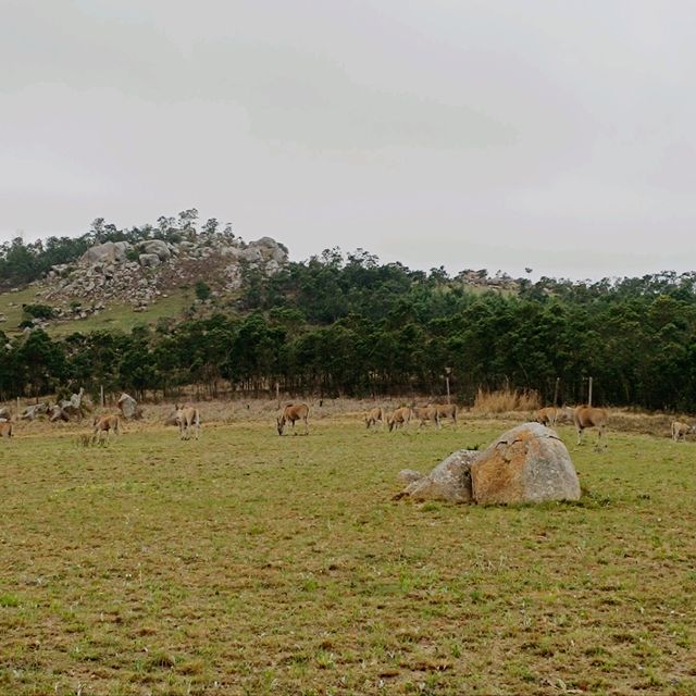 Breathtaking Nature in Malolotja