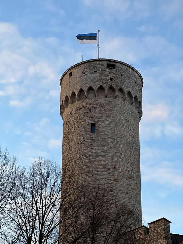 🇪🇪 시간이 멈춘 듯한 중세 도시 에스토니아의 탈린