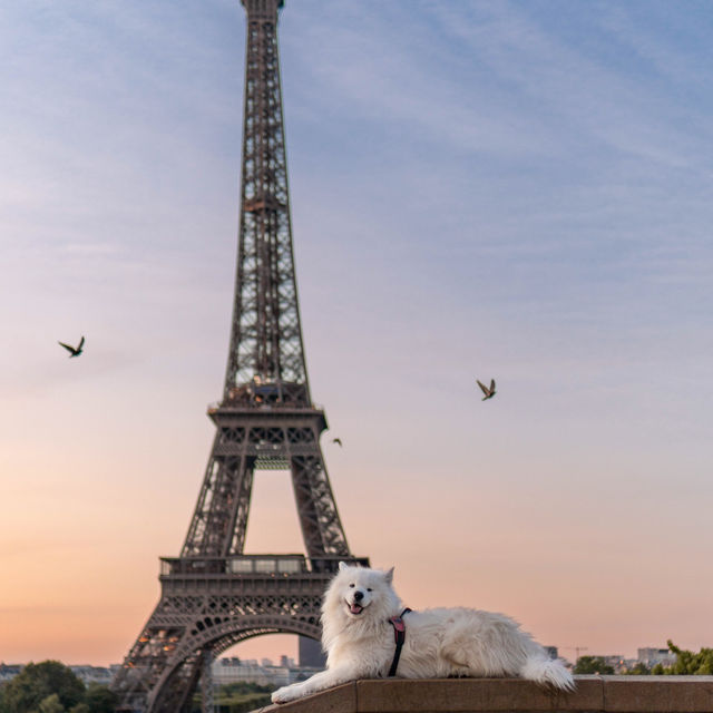 The best viewpoint to see the Eiffel Tower