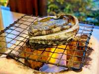 ♨️伊豆秘湯♨️