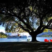 Christmas In Summer | Queenstown 