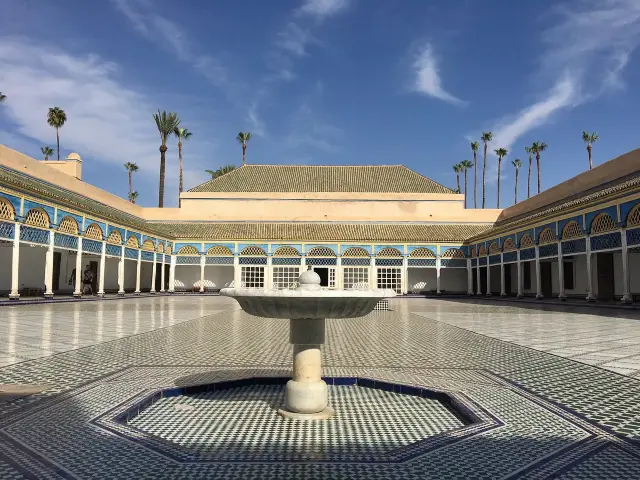 Majestic Moments in Marrakech's Medina