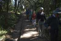 Kilimanjaro Lemosho Route 6 days Climb Tour
