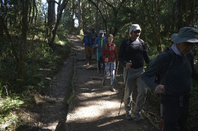 Kilimanjaro Lemosho Route 6 days Climb Tour