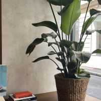 Paris｜Increasingly popular coffee shop in Paris