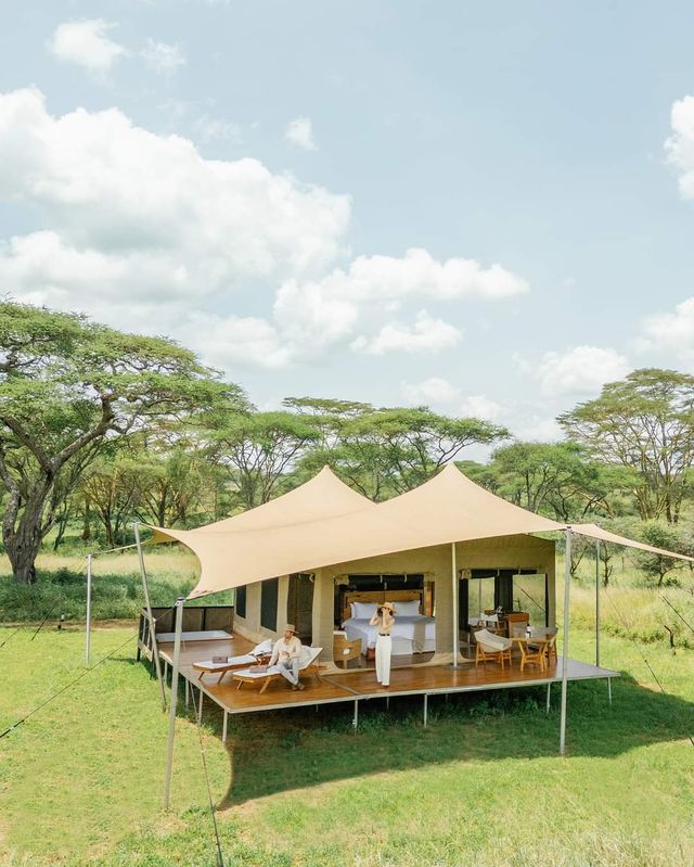 5 Day Tanzania Wildlife Safari Explore Serengeti, Ngorongoro Crater Lake Manyara and Tarangire