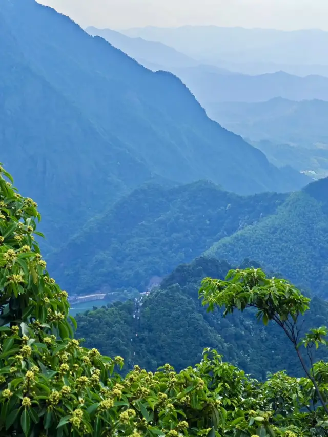 Exploring Dajue Mountain: A Tranquil Journey Amidst Scenic Beauty