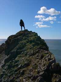🌊 Wild & Rugged: A Gower AONB Adventure 🌿