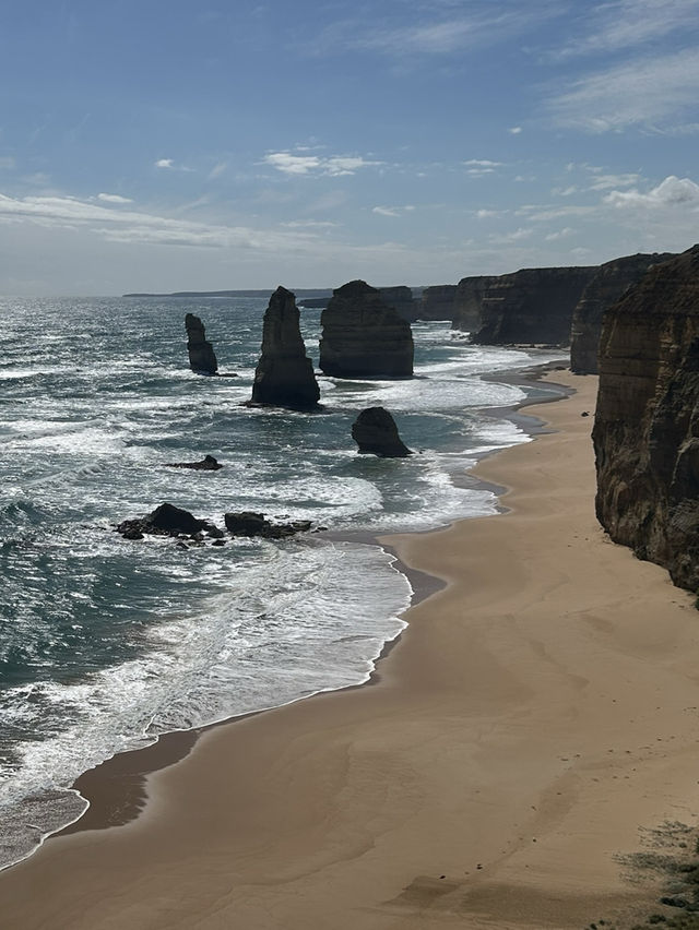 🌊🚗 The Ultimate Great Ocean Road Adventure: Wildlife & Iconic Views 🦘🐨
