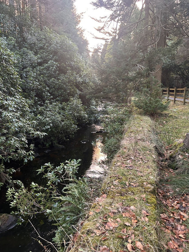 Beautiful Bowland 