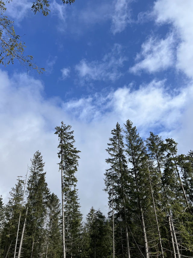 🇵🇱 波蘭札科帕內（Zakopane） 🏞️