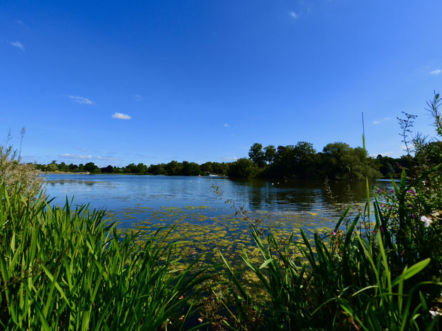 特倫特姆花园(Trentham Garden)一日游