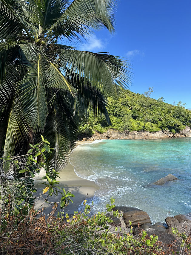 Stunning hike with a surprise beach at the end 