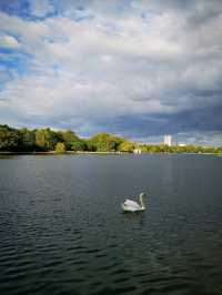 Exploring Hyde Park: Nature and History Combined