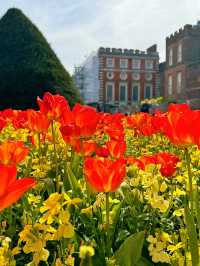 🌷 Hampton Court Palace in Bloom – The Best Time to Visit! 👑